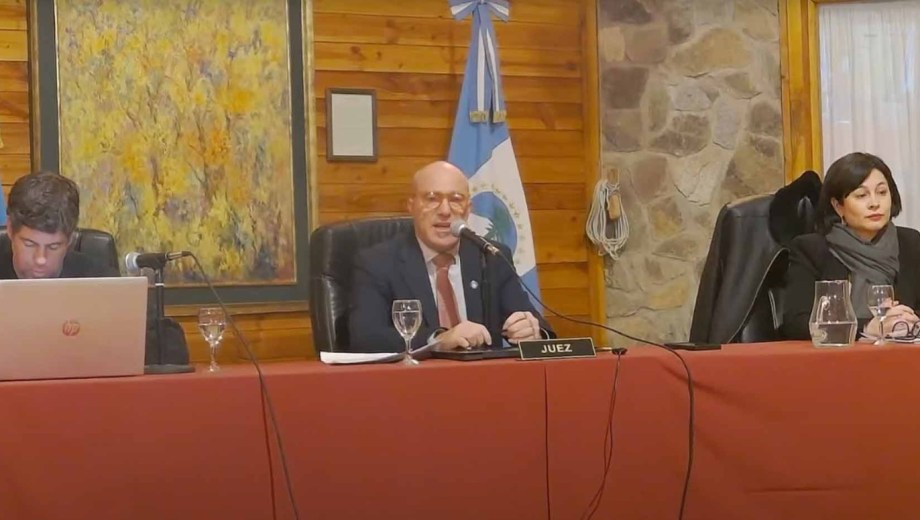 El tribunal que dictó la pena lo integraron el juez Maximiliano Bagnat (a la izquierda), Federico Sommer (centro) y la jueza Alina Macedo Font. (captura de video)