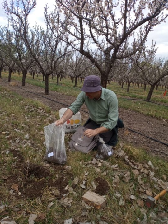 La agricultura regenerativa busca mejorar la salud del suelo, fomentar la biodiversidad y reducir la huella de carbono.