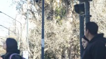 Imagen de Neuquén, al ritmo de la IA: inicia la licitación de semáforos inteligentes para ordenar el volumen de tránsito