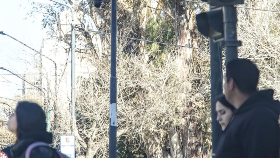 Neuquén licita el Plan de Semaforización Inteligente. (Foto: Cecilia Maletti).