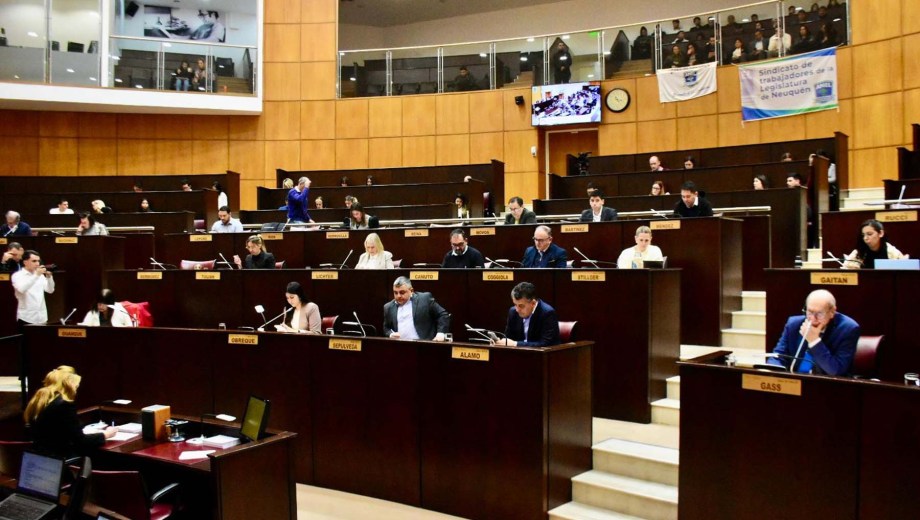 Hubo dos proyectos anteriores que intentaron avanzar en este sentido, pero no prosperaron. Foto Matías Subat.