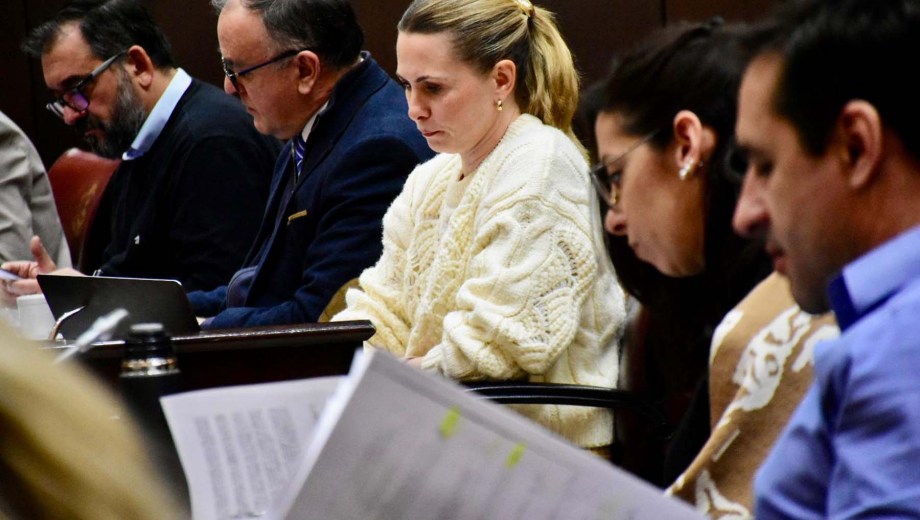 Gisselle Stillger es la presidenta de la comisión de Ambiente. Foto: Matías Subat.