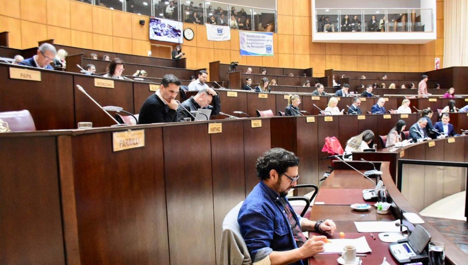 Recién con la reglamentación se sabrá cómo es el procedimiento y quién será la autoridad de aplicación. Foto Matías Subat.