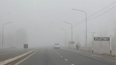 Niebla en el Alto Valle de Neuquén y Río Negro: rutas y calles con problemas de visibilidad este viernes