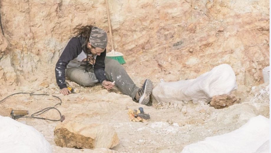 Guillermo Windholz en trabajo de campo. Foto: gentileza científico