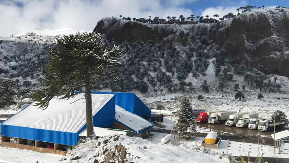 Paso Pino Hachado cerrado. Foto: archivo. 