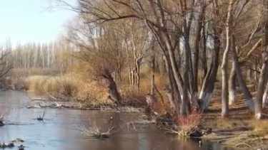 Ola polar: río congelado en la Patagonia.-