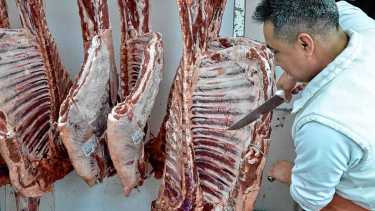 Chile dará su respuesta en 20 días. Foto: archivo Juan Thomes. 