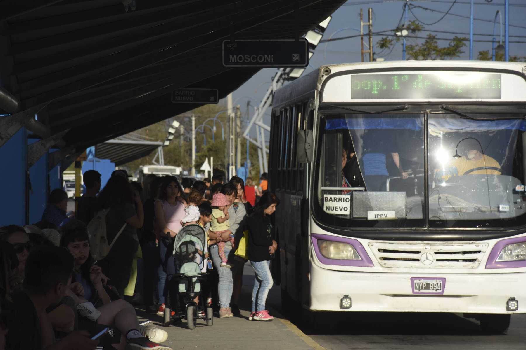 Aniversario de Roca 2026: detalles sobre el servicio de colectivos