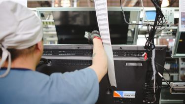 Cada persona podrá comprar hasta tres unidades de la misma especie al año.