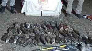 Pesca ilegal en Neuquén: multan a cazadores furtivos y secuestran 50 truchas arcoíris