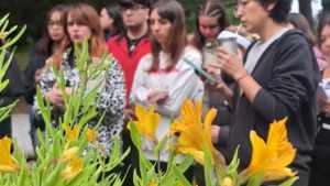 Inscripciones abiertas para la Diplomatura de Plantas Medicinales en la UNRN: Todo lo que debes saber