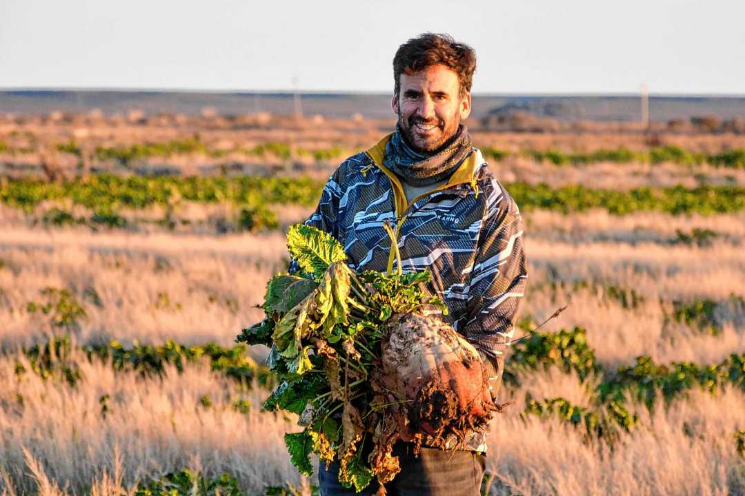 Joaquín Imaz apuesta por la remolacha forrajera. Foto: Juan Thomes.