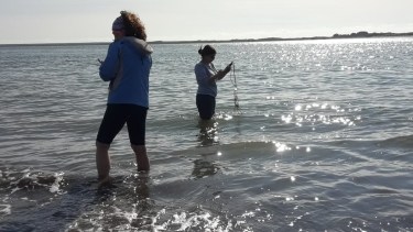 Participaron como autoras la doctora Andrea Tombari y la licenciada Aimé Funes, docentes e investigadoras del Centro de Investigaciones y Transferencia de Río Negro (CIT Río Negro – UNRN Sede Atlántica).