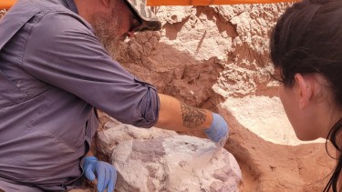 Preparar y conservar fósiles: los técnicos detrás de los hallazgos lanzan un curso gratuito en El Chocón