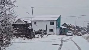 En medio de la expectativa en el Alto Valle, un pueblo de Neuquén ya se cubre de nieve: las imágenes
