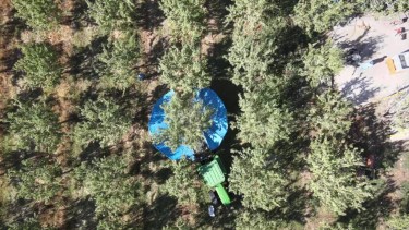 Senillosa | Por qué invertir en almendras: el caso de éxito que lidera la producción en Neuquén