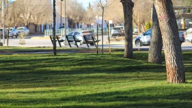 Rincón de los Sauces: el municipio emitió un comunicado y separó del cargo a un funcionario investigado por la Justicia