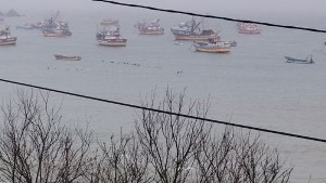 Por qué la segunda ola del tsunami podría ser peor en Chile: las zonas más expuestas al fenómeno