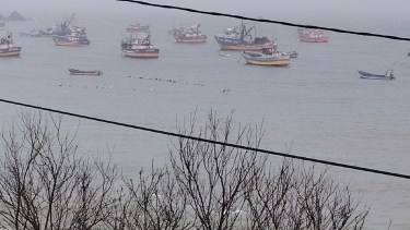 Por qué la segunda ola del tsunami podría ser peor en Chile: las zonas más expuestas al fenómeno