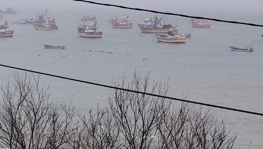 El llamado de los especialistas es a no bajar la guardia y evitar acercarse a la costa. Foto: gentileza.