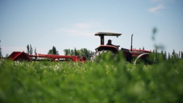 El cultivo forrajero hace la diferencia en Senillosa