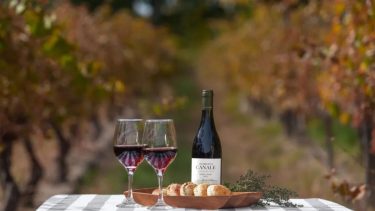 Dónde queda la emblemática bodega de Río Negro que tiene más de 100 años de historia en el vino patagónico