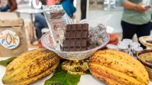 Imagen de En Viedma, este finde a todo chocolate en súper feria gastronómica: imperdible