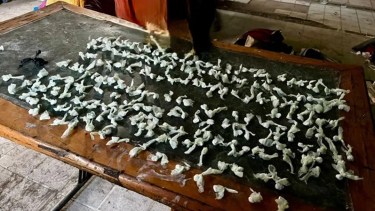 Aumentaron las denuncias por venta de droga en Neuquén: los factores que marcaron el proceso