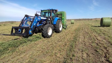 Henificación en la región, con rindes de 10 mil a 14 mil kilos por hectárea.