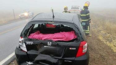Video | Choque sobre Ruta 237 en Neuquén: así se veía la «densa neblina» cerca de Piedra del Águila