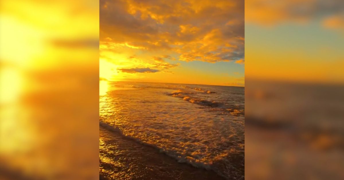 Ana carolina serra nudes leaked this is my 2nd time seeing