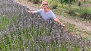 Cuándo y cómo plantar lavandas en la Patagonia: lo que aprendió Antonia en 15 años de trabajo en Trevelin