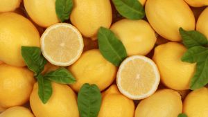 Cómo germinar semillas de limón en casa y tener tu propio árbol