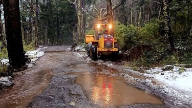 Deslaves y arroyos cargados en la cordillera de Río Negro: cierran un conocido circuito turístico