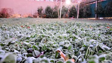 Las temperaturas en Neuquén y Río Negro superarán los 12°C. Foto: Cecilia Maletti. 