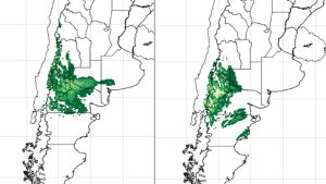 «Vuelve la nieve»: los impactantes acumulados que pronostica el SMN