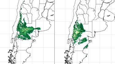 «Vuelve la nieve»: los impactantes acumulados que pronostica el SMN