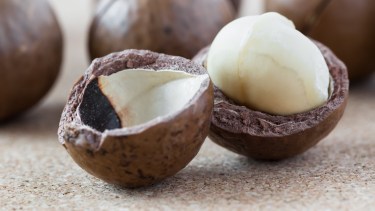 El fruto seco más caro del mundo.