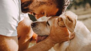 Tu perro también envejece: señales de la vejez y cómo ayudarlo a tener mejor calidad de vida