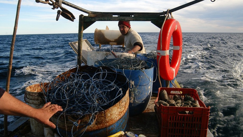 Río Negro está en emergencia pesquera. Archivo