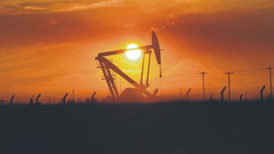 Santa Cruz suma nuevos jugadores y licita más áreas