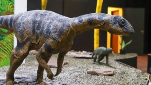 El pueblo neuquino que busca atraer turistas con su museo y sus lagunas naturales