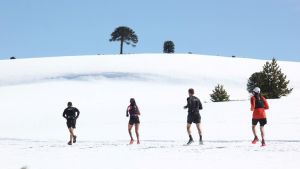 Una carrera entre araucarias y lagos: a ASICS K21 llega a Villa Pehuenia-Moquehue