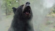 Imagen de Cómo es «Oso Intoxicado», la increíble película inspirada en hechos reales que llegó a Netflix