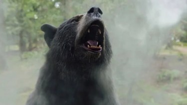 Cómo es «Oso Intoxicado», la increíble película inspirada en hechos reales que llegó a Netflix
