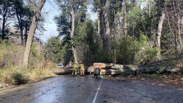 Video | Alerta por vientos genera destrozos en Bariloche: voladuras de techos y cortes de luz