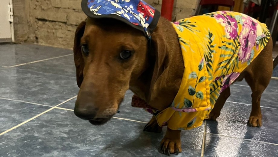 Simón abrió la puerta de la casa. Foto: Facebook.