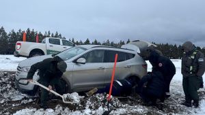 Video | Rescate en la nieve: tres autos quedaron varados en Villa Pehuenía, venían de Chile
