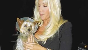 Polémica en los Martín Fierro: incorporan premios a las mascotas de los famosos